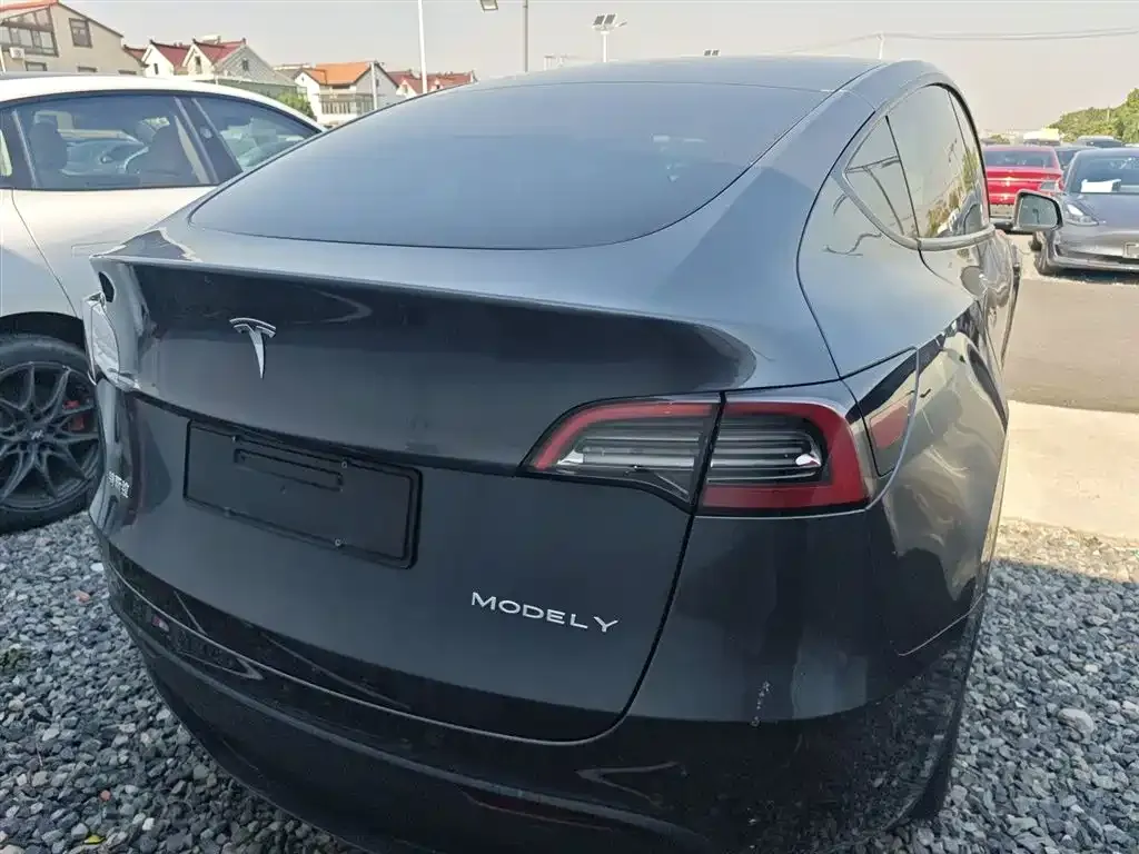 Tesla Model Y — фото 6