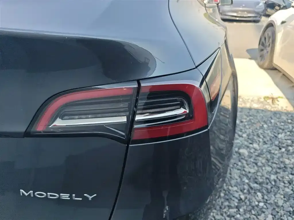Tesla Model Y — фото 8