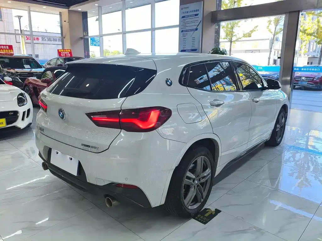 BMW X2 2021 из CN, фото 6