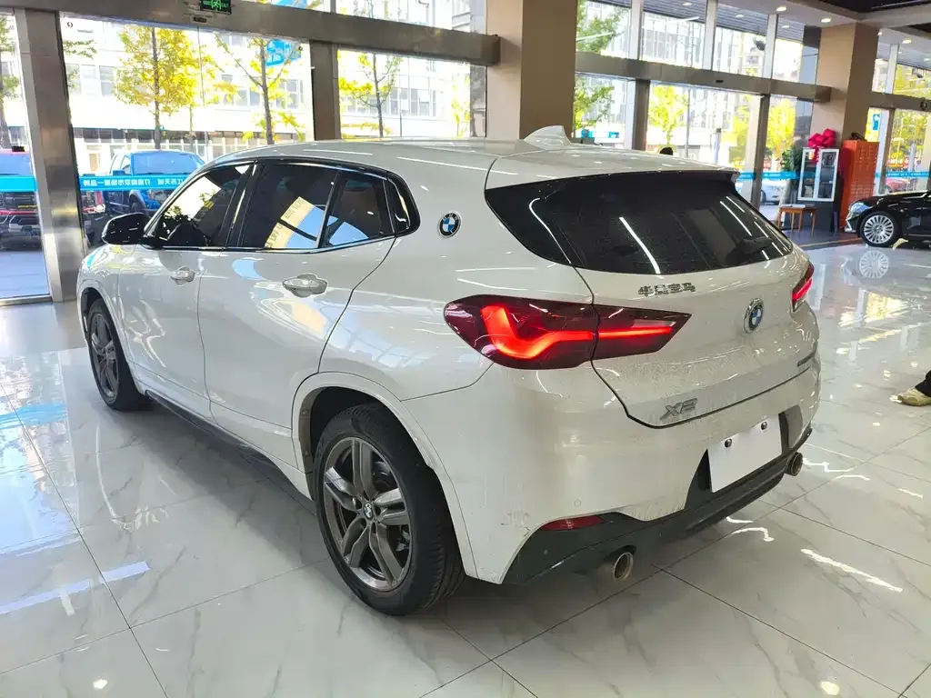 BMW X2 2021 из CN, фото 7