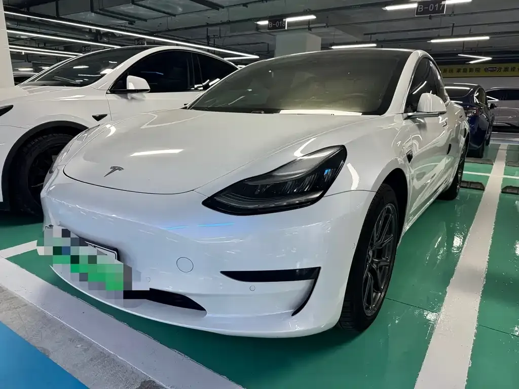 Tesla Model 3 2021 из CN, фото 1