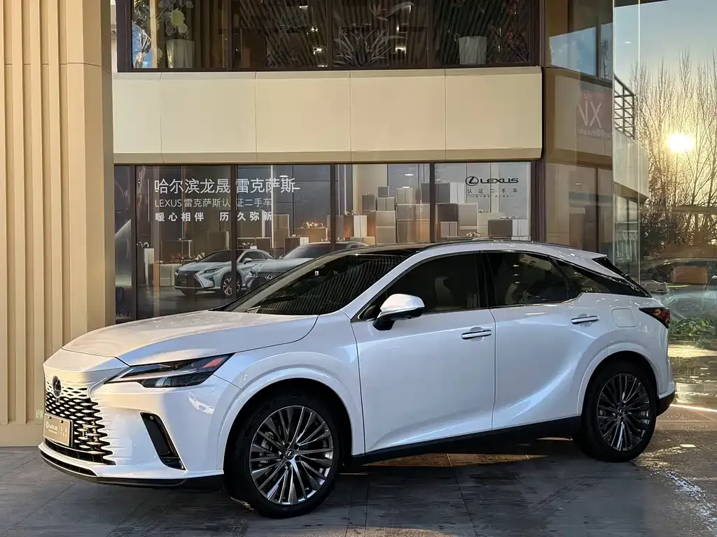 Lexus RX 2024 из CN, фото 1