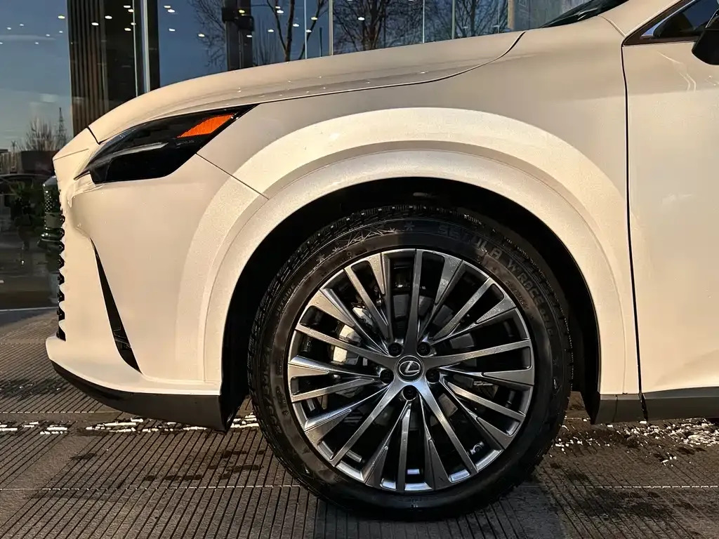 Lexus RX 2024 из CN, фото 10