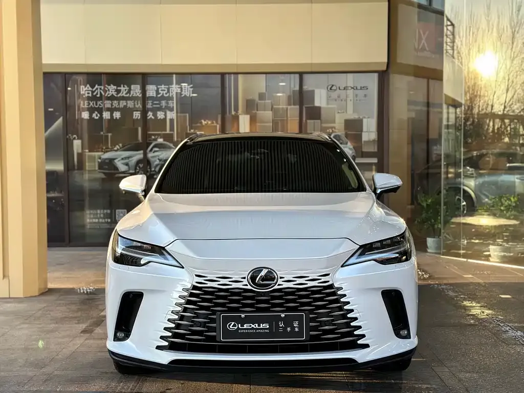 Lexus RX 2024 из CN, фото 2