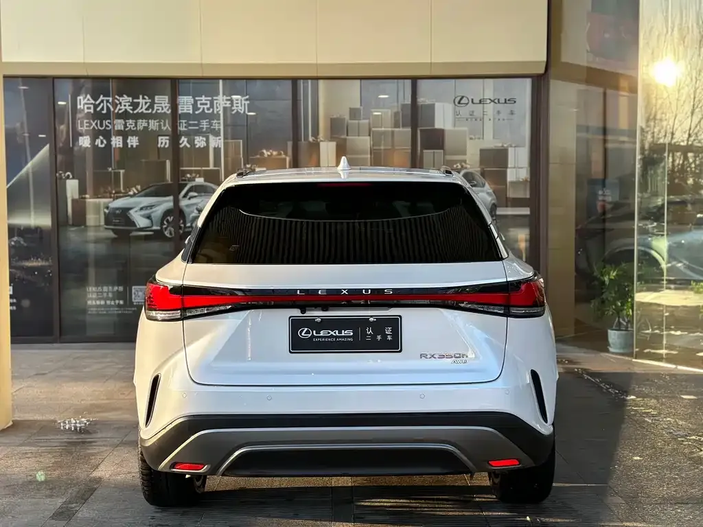 Lexus RX 2024 из CN, фото 3