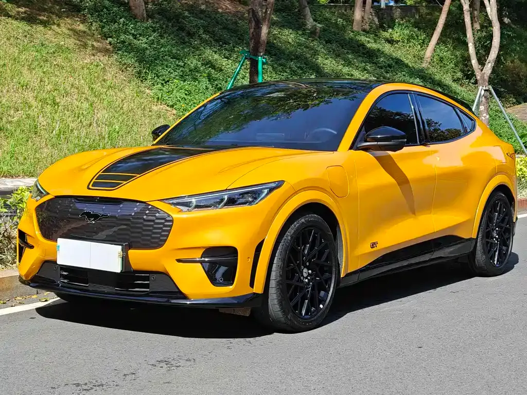 Ford Mustang Mach-E 2024 из CN, фото 1