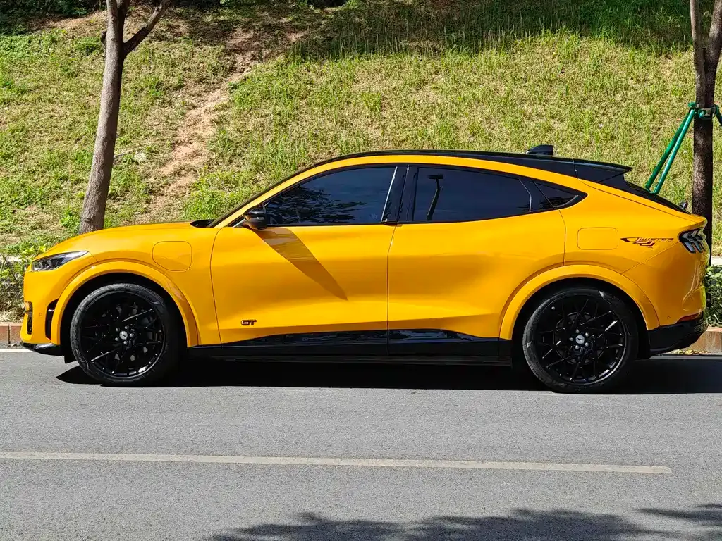 Ford Mustang Mach-E 2024 из CN, фото 2