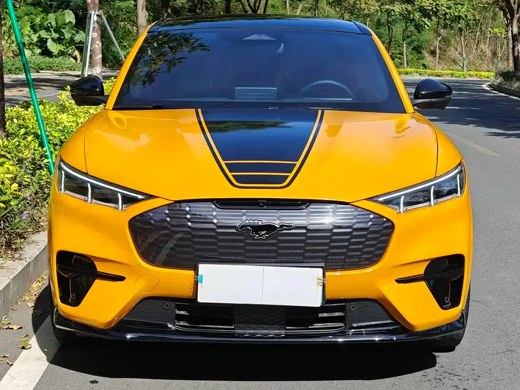 Ford Mustang Mach-E 2024 из CN, фото 3