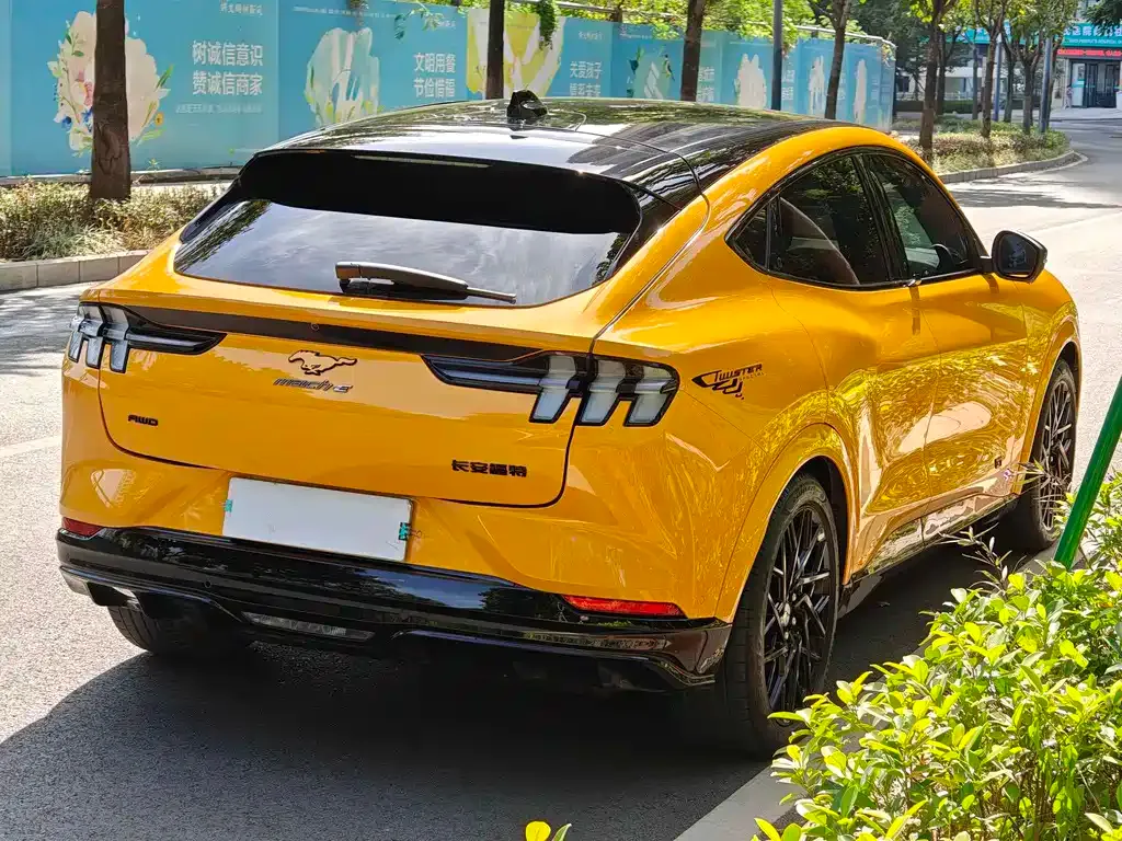 Ford Mustang Mach-E 2024 из CN, фото 4