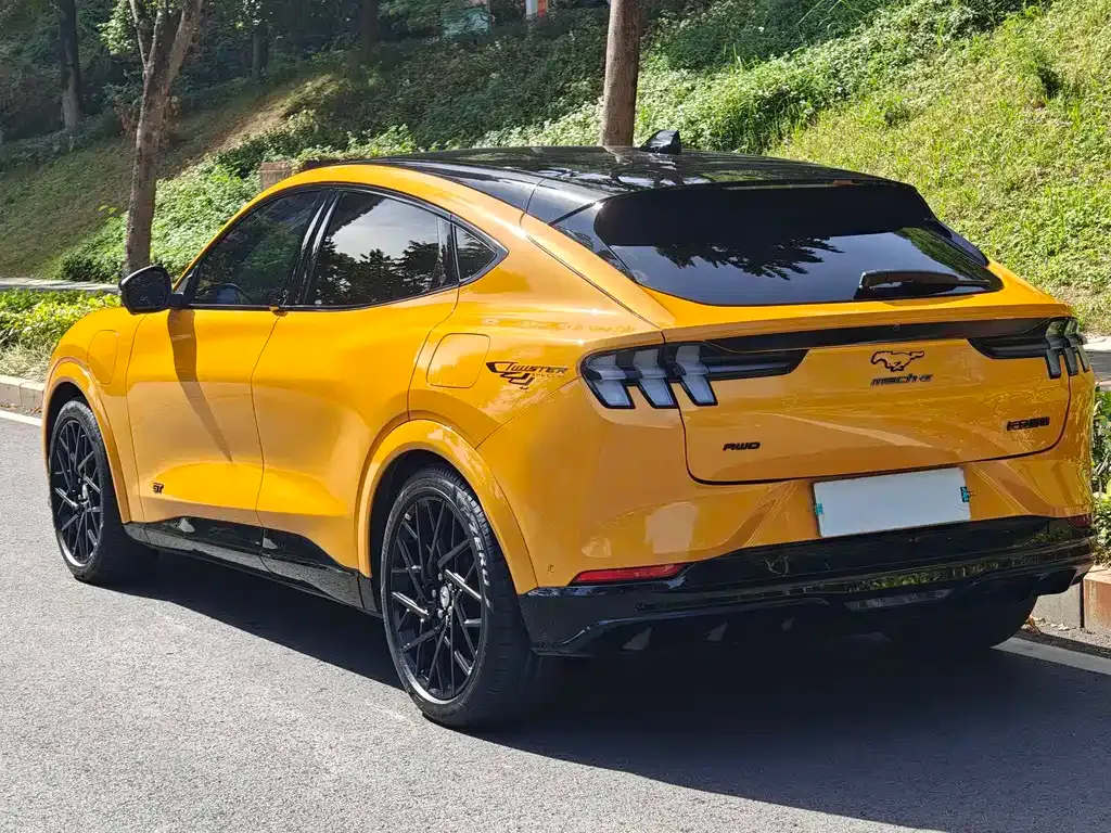 Ford Mustang Mach-E 2024 из CN, фото 5
