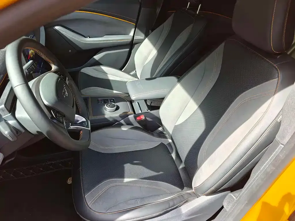 Ford Mustang Mach-E 2024 из CN, фото 6