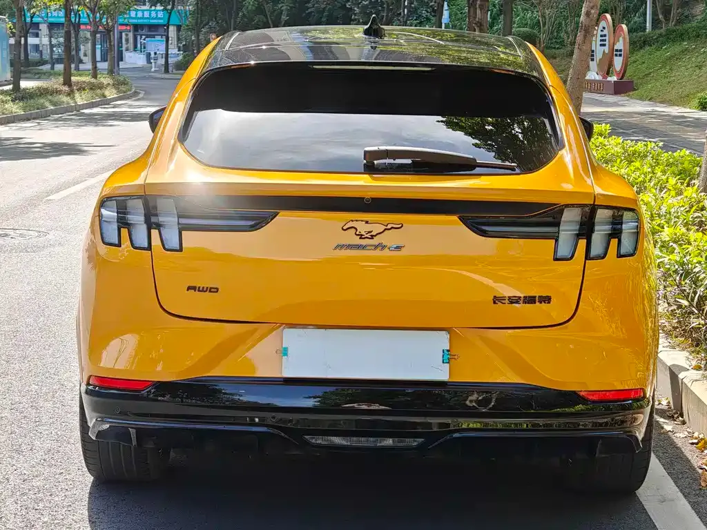 Ford Mustang Mach-E 2024 из CN, фото 9
