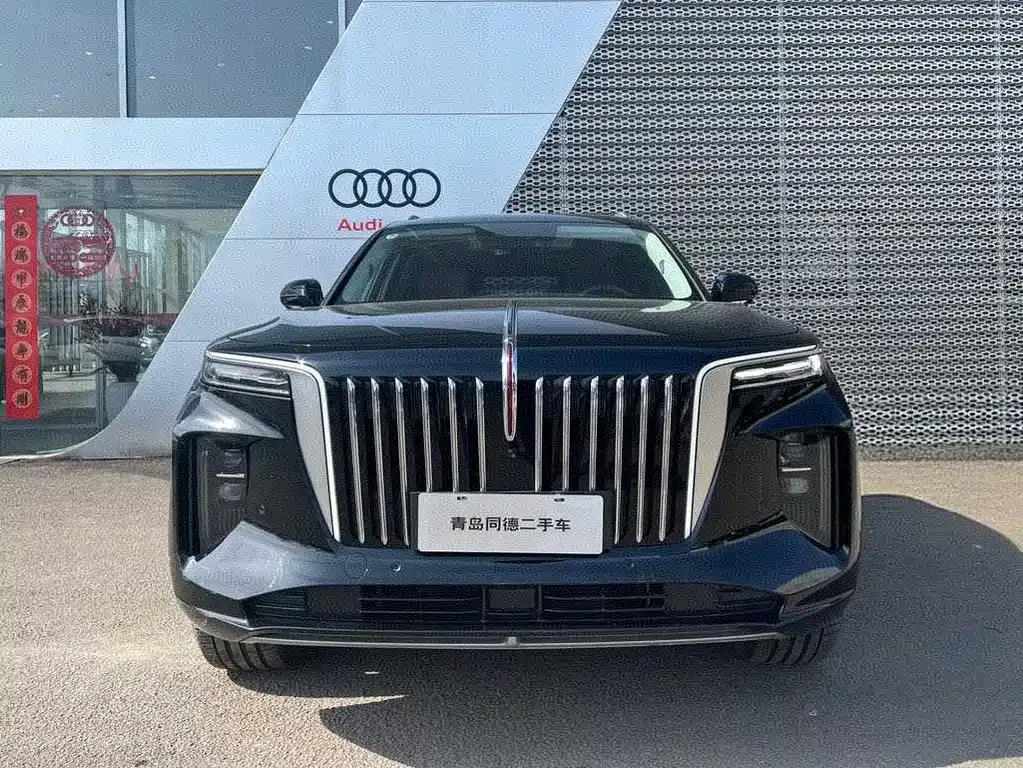 Hongqi E-HS9 2023 из CN, фото 2