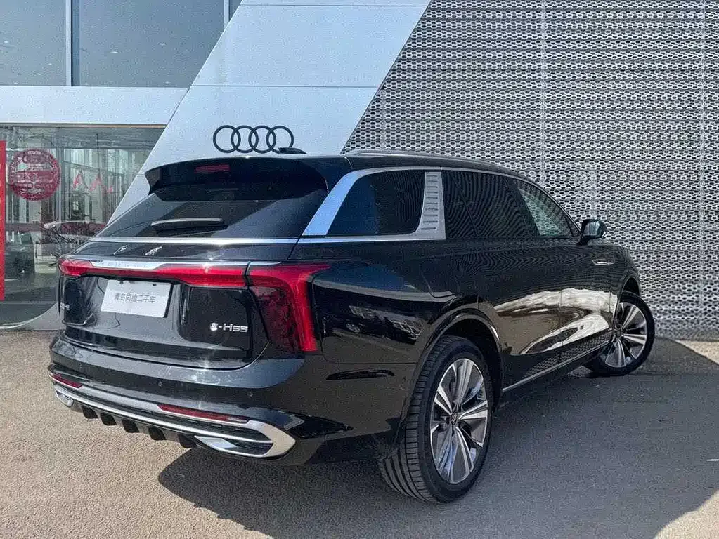 Hongqi E-HS9 2023 из CN, фото 4