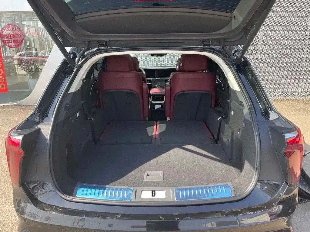 Hongqi E-HS9 2023 из CN, фото 5