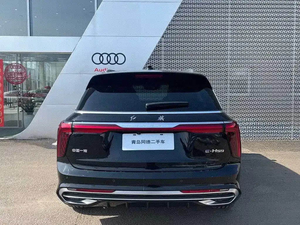Hongqi E-HS9 2023 из CN, фото 6