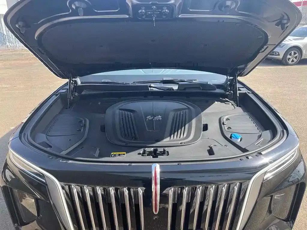 Hongqi E-HS9 2023 из CN, фото 7