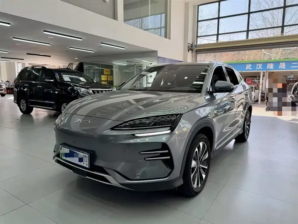 BYD PLUS New Energy 2024 из CN, фото 1