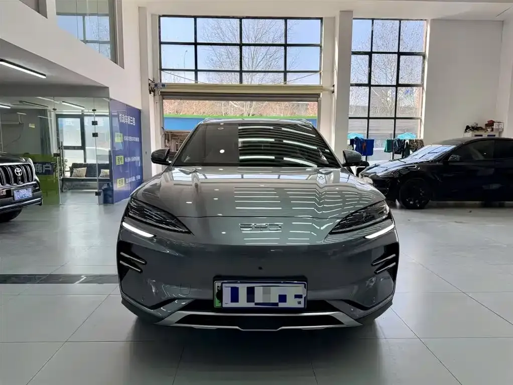 BYD PLUS New Energy 2024 из CN, фото 2