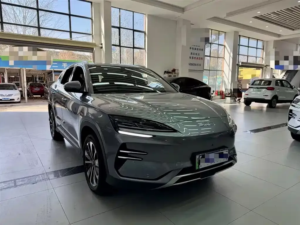 BYD PLUS New Energy 2024 из CN, фото 3