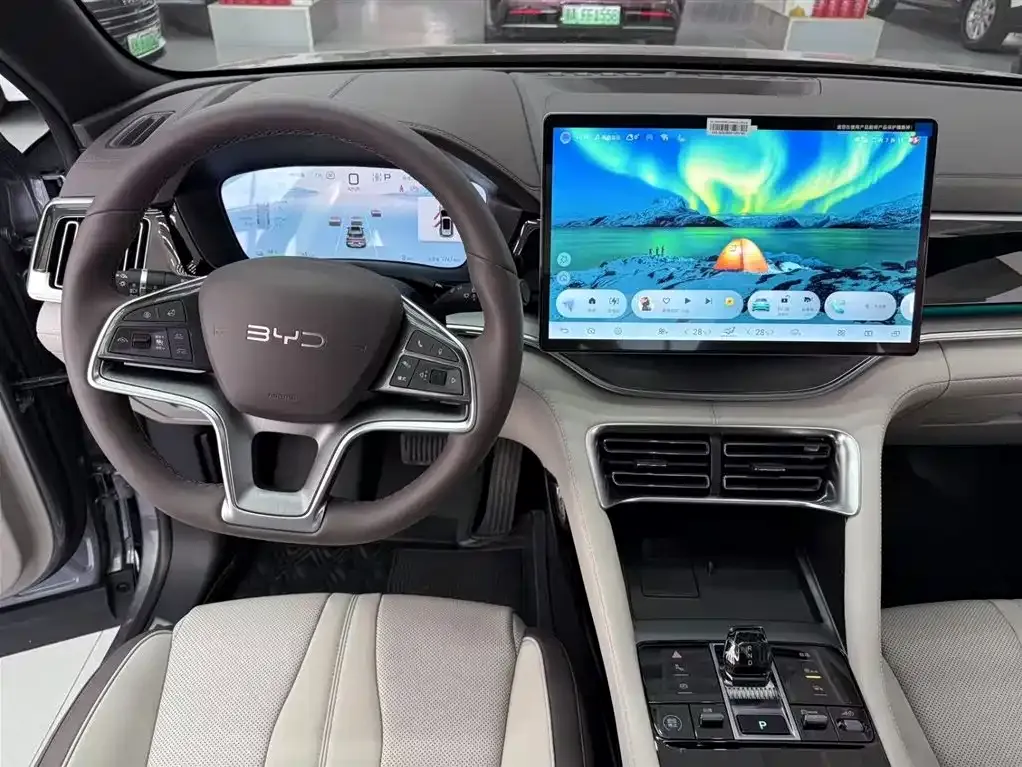 BYD PLUS New Energy 2024 из CN, фото 4