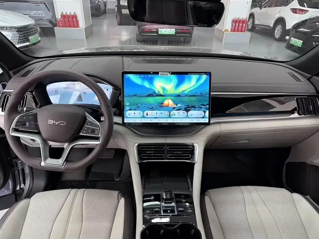 BYD PLUS New Energy 2024 из CN, фото 5