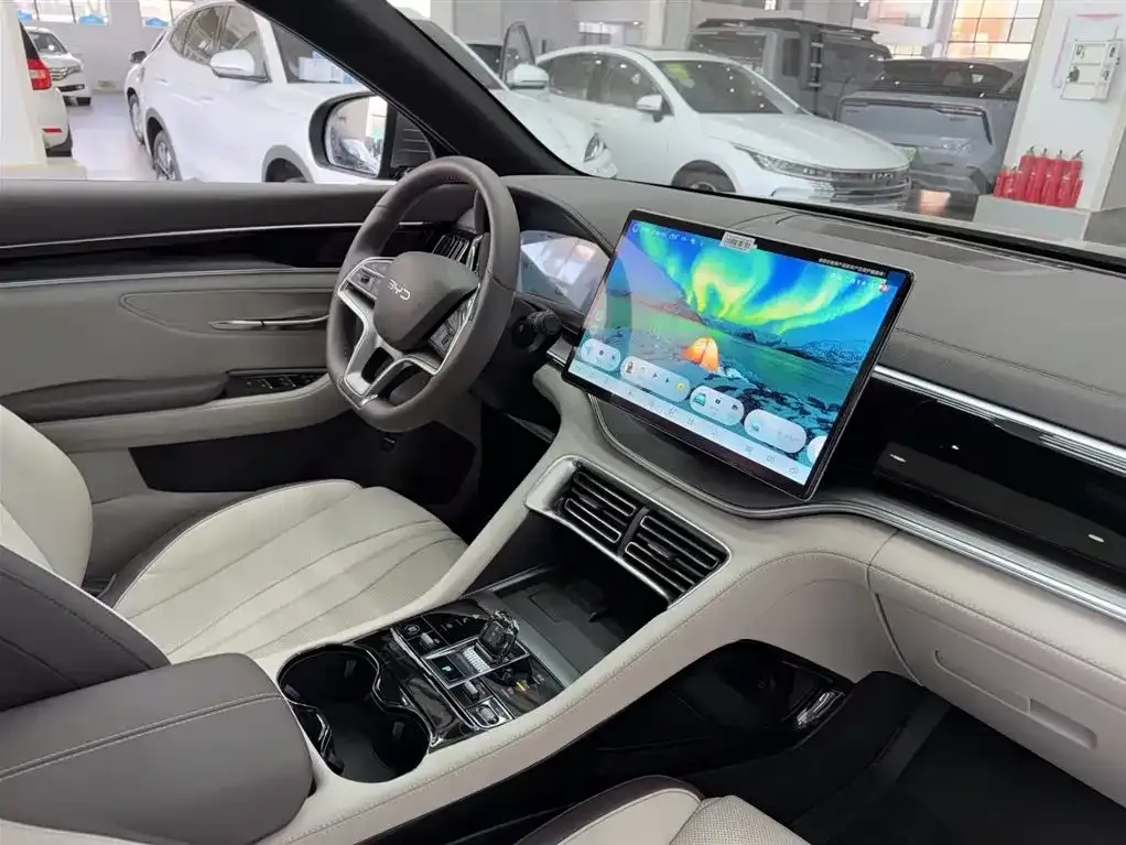 BYD PLUS New Energy 2024 из CN, фото 6