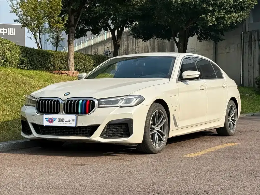 BMW 5 Series New Energy 2021 из CN, фото 1