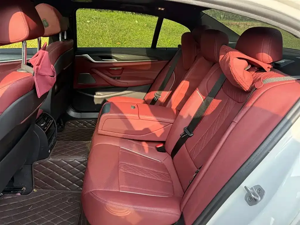 BMW 5 Series New Energy 2021 из CN, фото 10