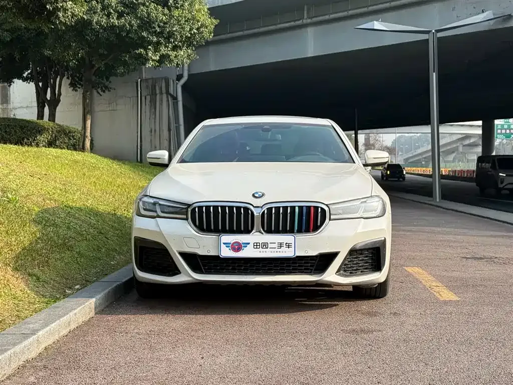 BMW 5 Series New Energy 2021 из CN, фото 2