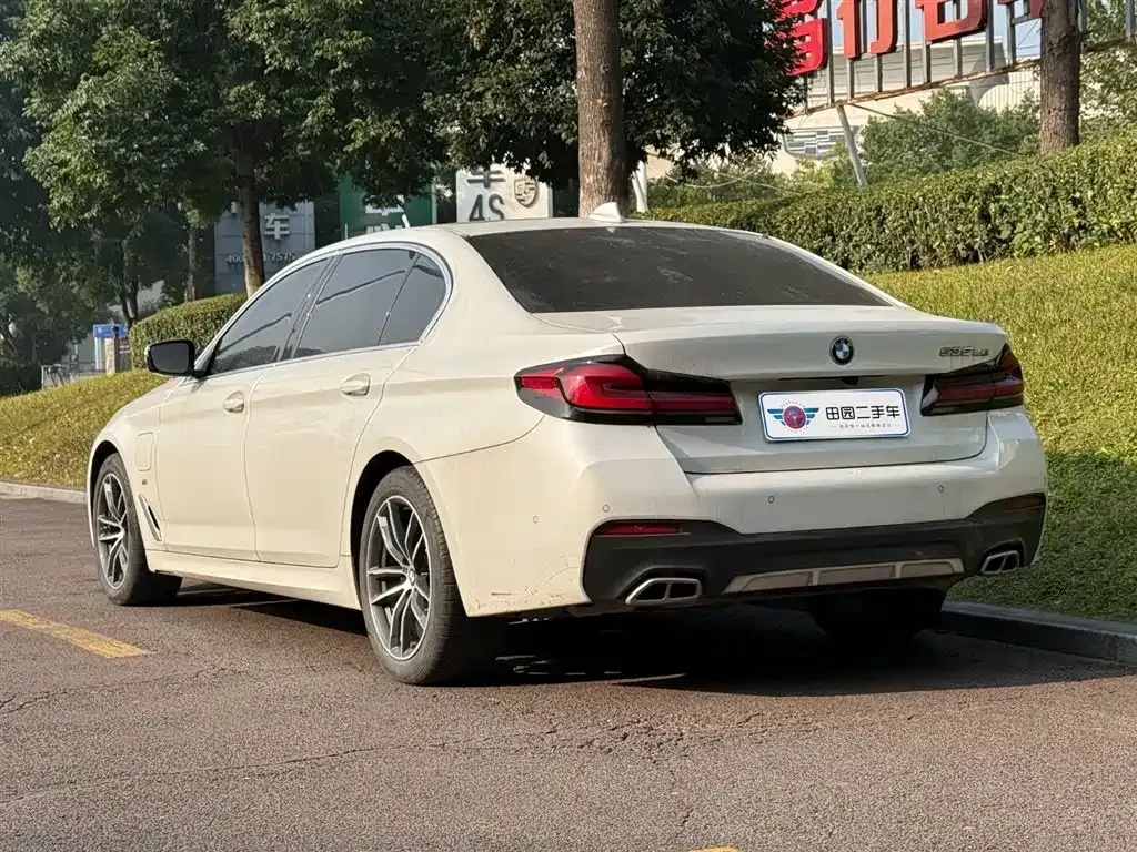 BMW 5 Series New Energy 2021 из CN, фото 4