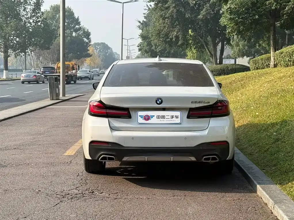 BMW 5 Series New Energy 2021 из CN, фото 5