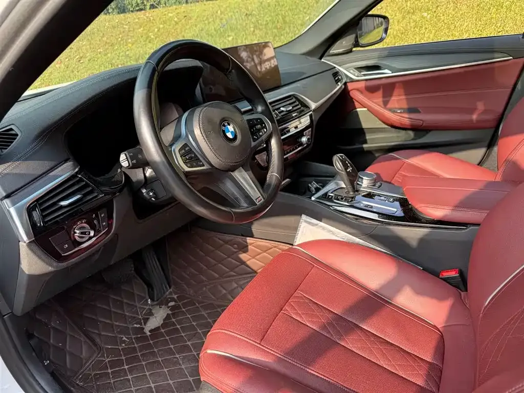 BMW 5 Series New Energy 2021 из CN, фото 7