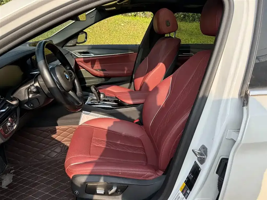 BMW 5 Series New Energy 2021 из CN, фото 8