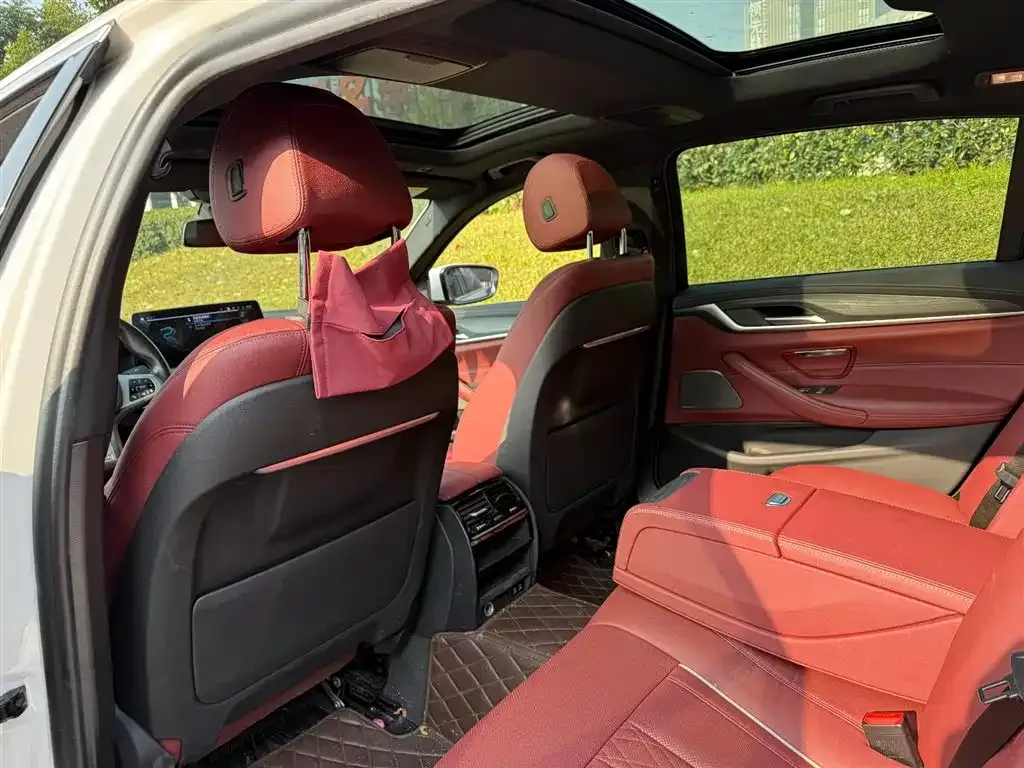 BMW 5 Series New Energy 2021 из CN, фото 9
