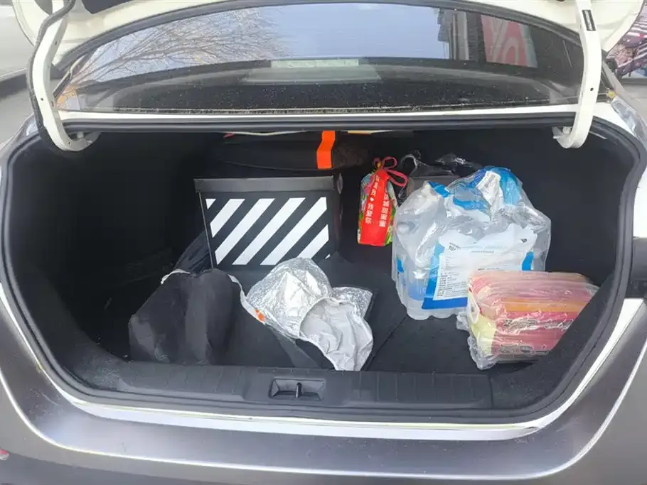 Nissan Sylphy 2021 из CN, фото 4