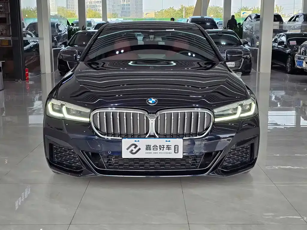 BMW 5 Series 2023 из CN, фото 2