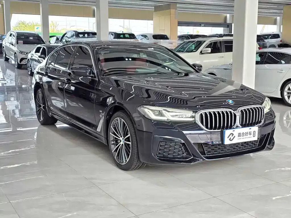 BMW 5 Series 2023 из CN, фото 3