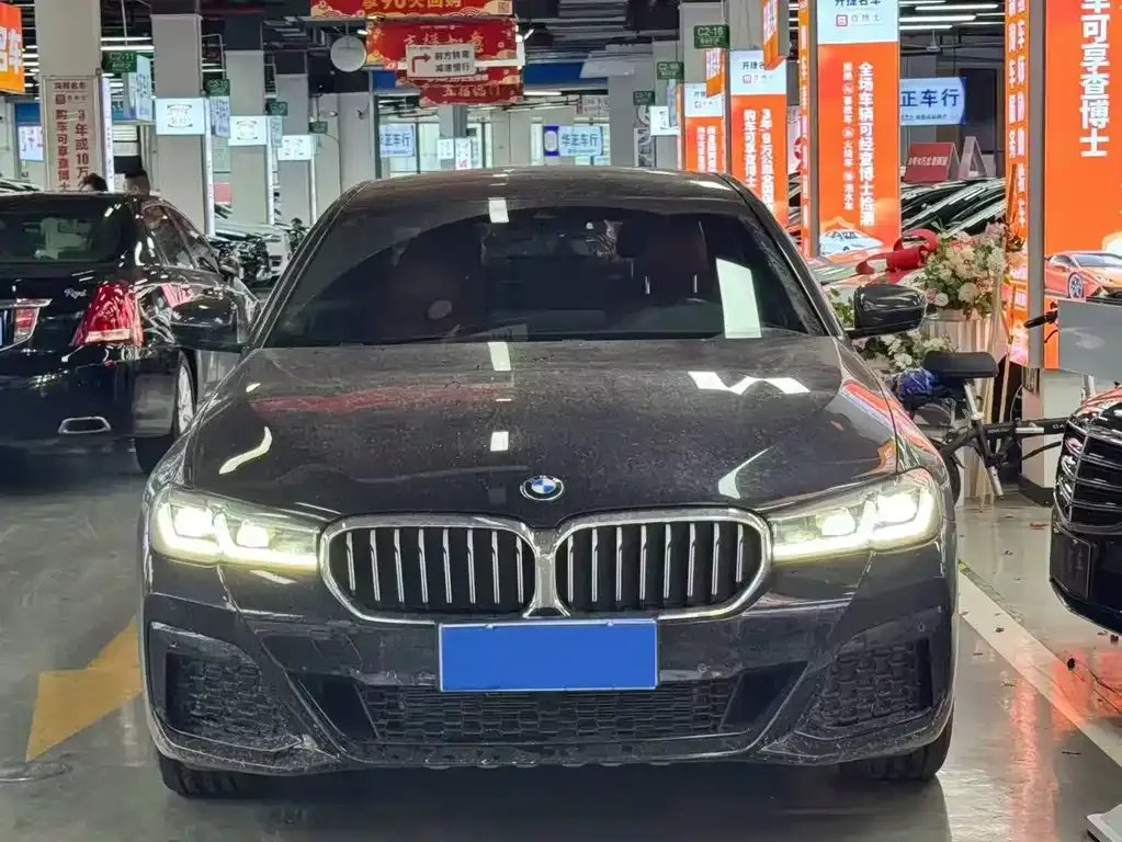 BMW 5 Series 2021 из CN, фото 2