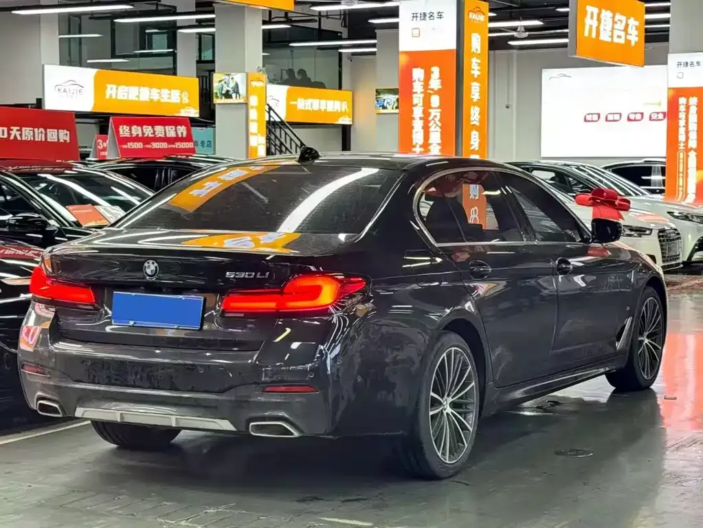 BMW 5 Series 2021 из CN, фото 3