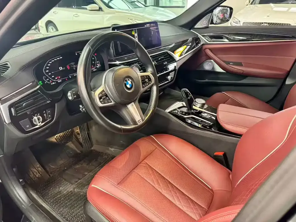 BMW 5 Series 2021 из CN, фото 4