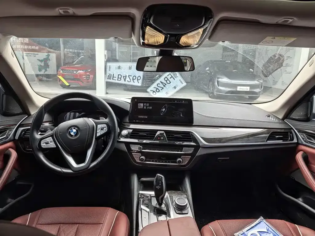 BMW 5 Series 2022 из CN, фото 10