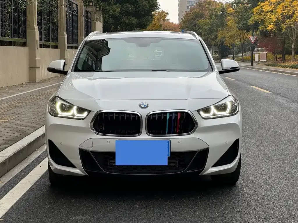 BMW X2 2022 из CN, фото 10