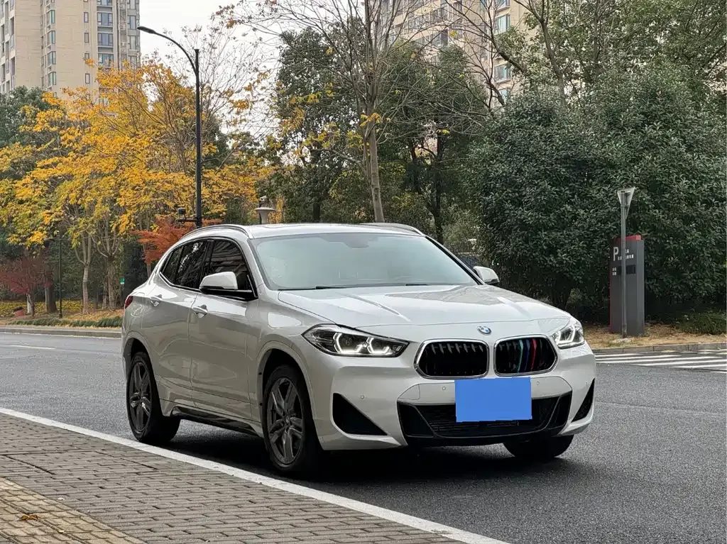 BMW X2 2022 из CN, фото 9