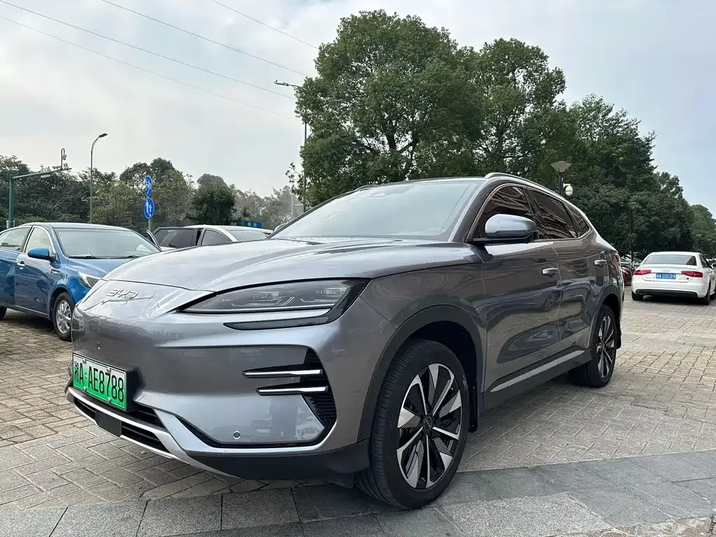 BYD PLUS New Energy 2024 из CN, фото 1