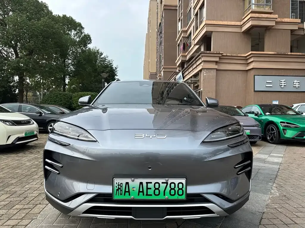 BYD PLUS New Energy 2024 из CN, фото 2