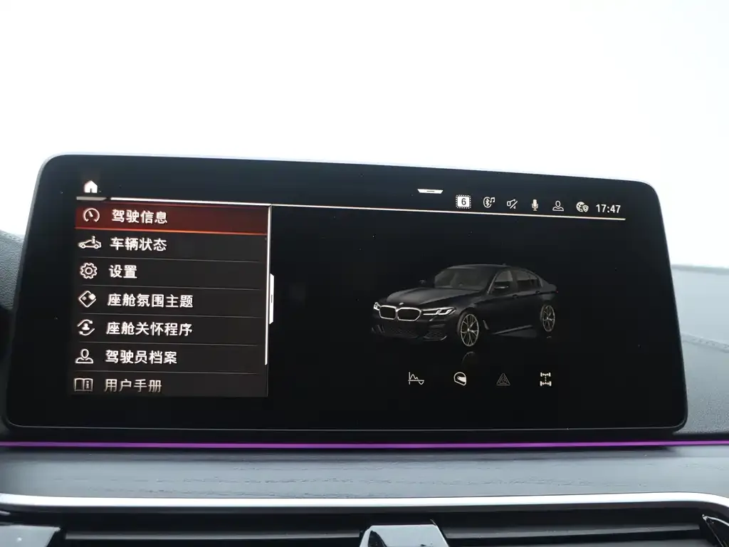 BMW 5 Series 2022 из CN, фото 9