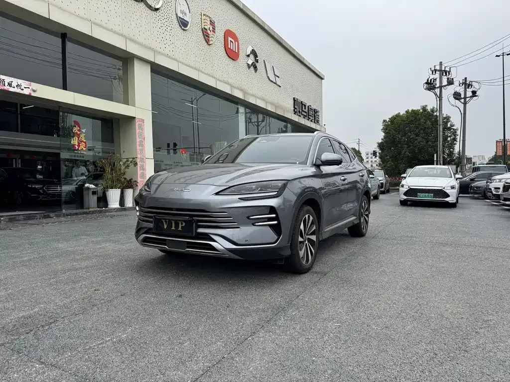 BYD PLUS New Energy — фото 1