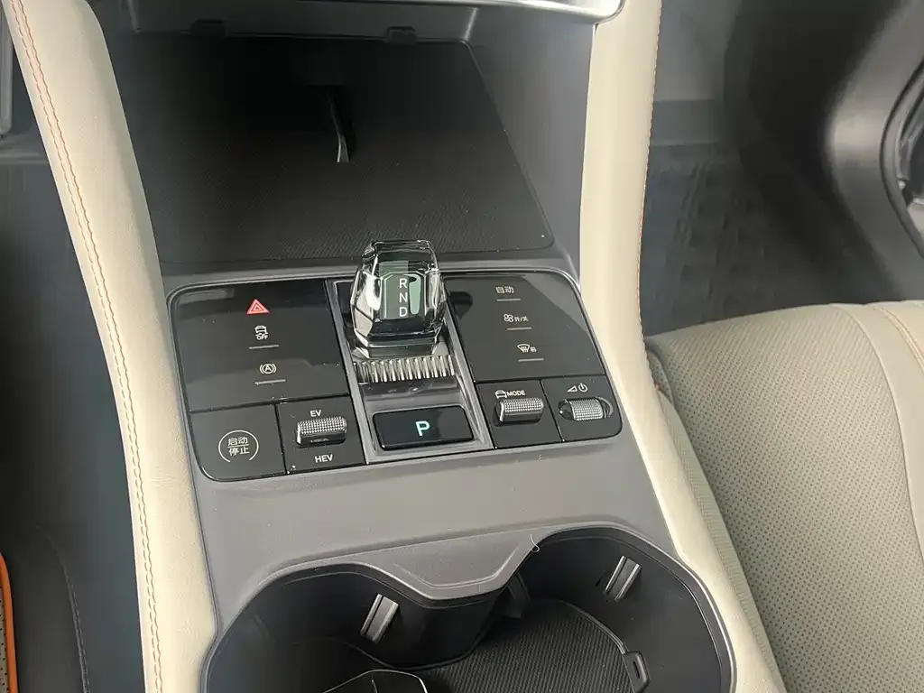 BYD PLUS New Energy — фото 10