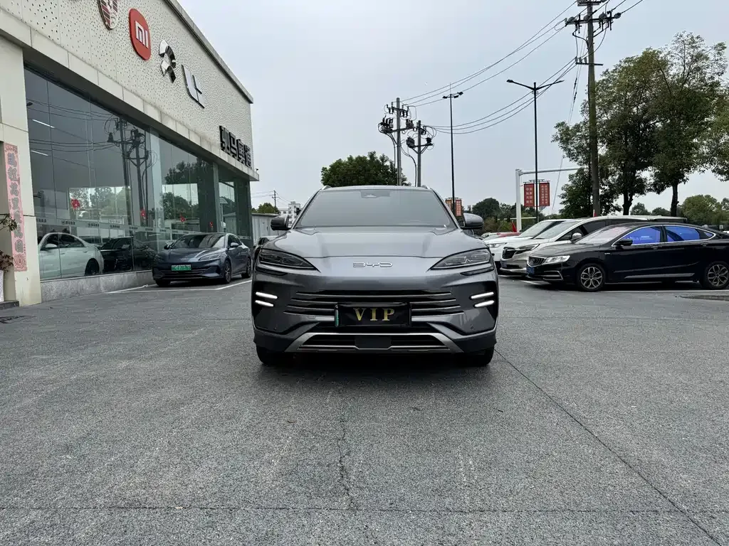 BYD PLUS New Energy — фото 2